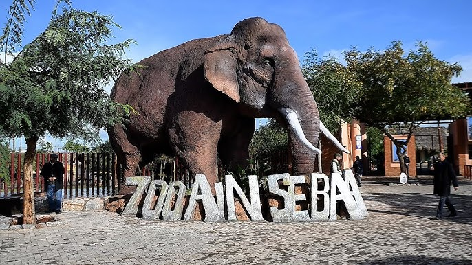 Le parc zoologique d’Aïn Sebaâ